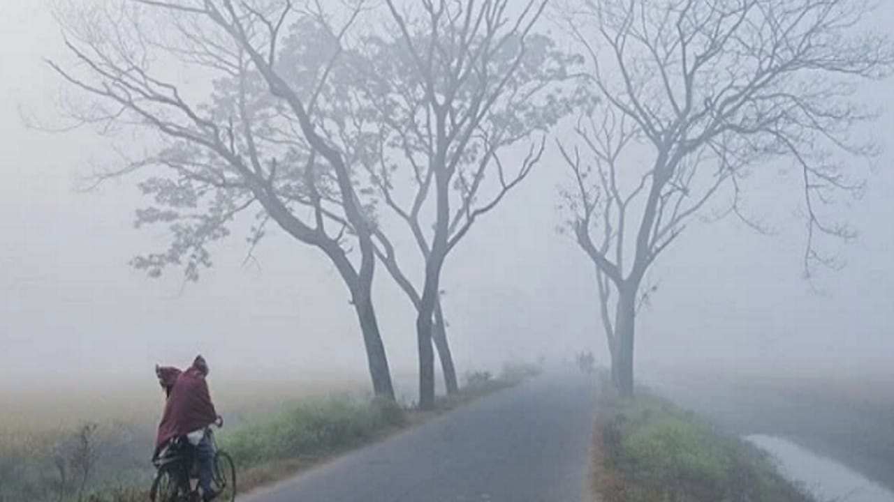 ঘন কুয়াশায় সপ্তাহ শুরু! কেমন থাকবে আবহাওয়া? কী বলছে হাওয়া অফিস?