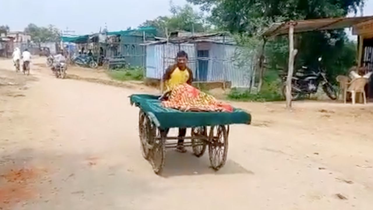 অ্যাম্বুলেন্সের বদলে গর্ভবতী মহিলার কপালে জুটল ঠেলাগাড়ি! কটাক্ষের মুখে এই রাজ্যের স্বাস্থ্য পরিষেবা